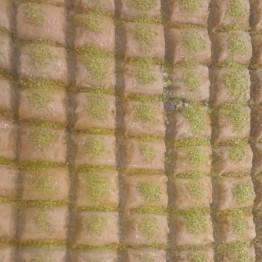 Antep Dürüm Fıstıklı